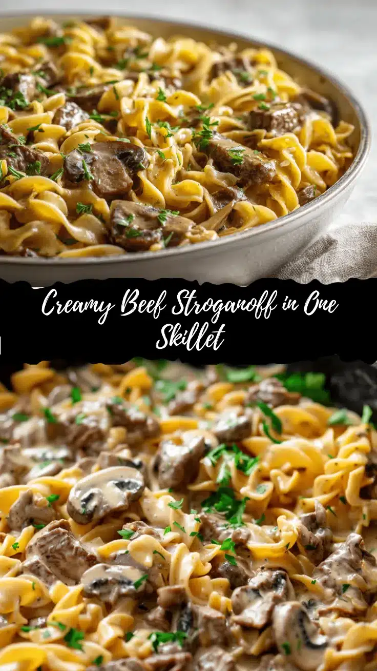 beef stroganoff noodle skillet recipe