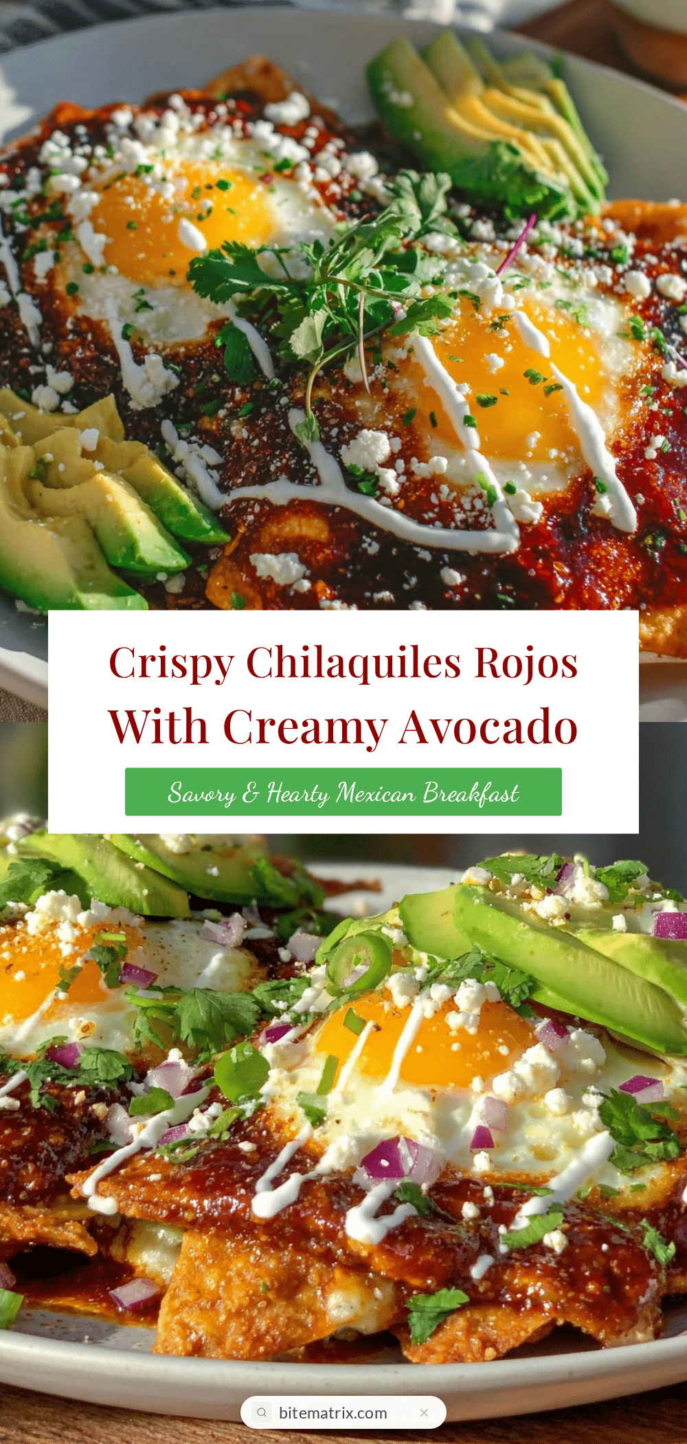 chilaquiles rojos recipe recipe