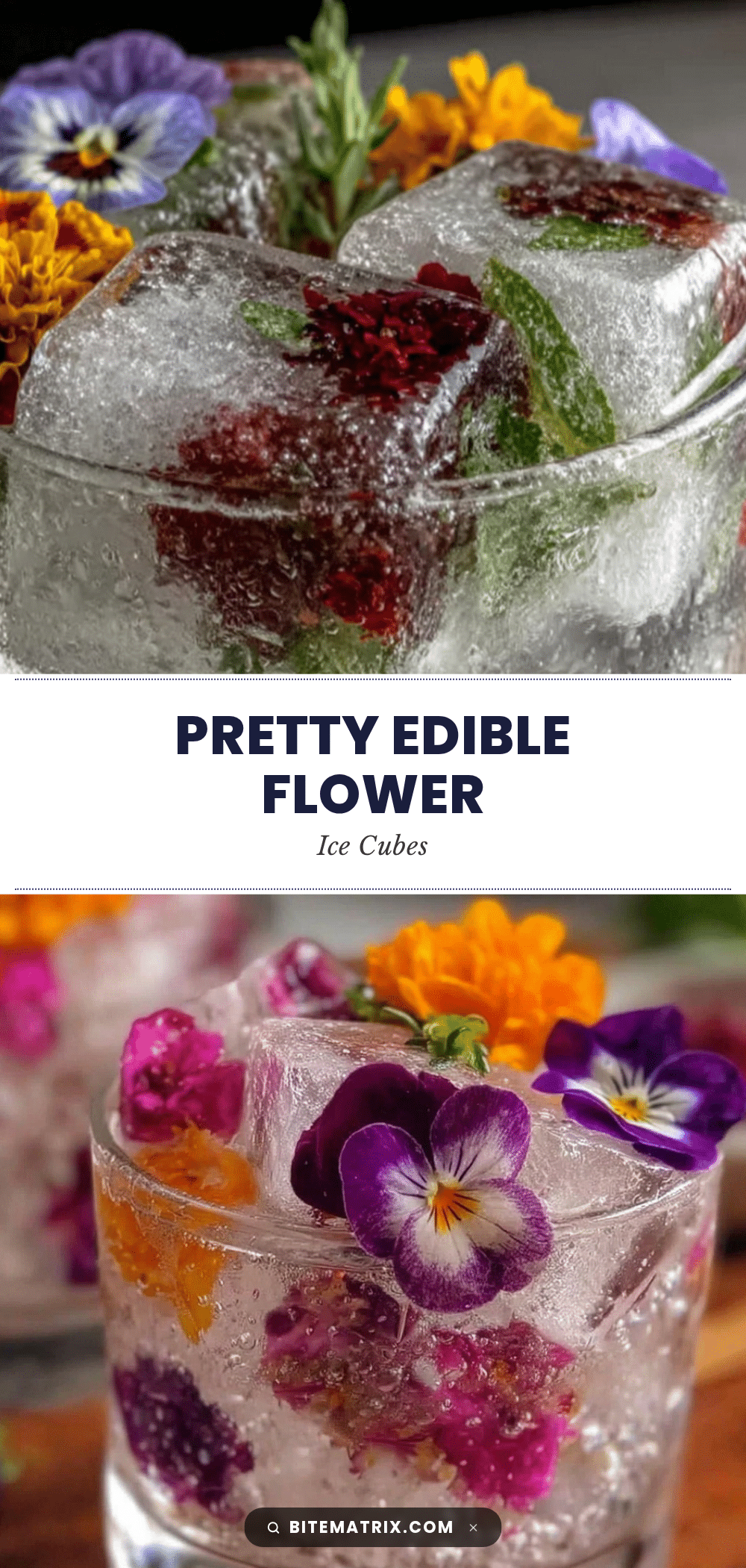 fresh edible flower ice cubes recipe