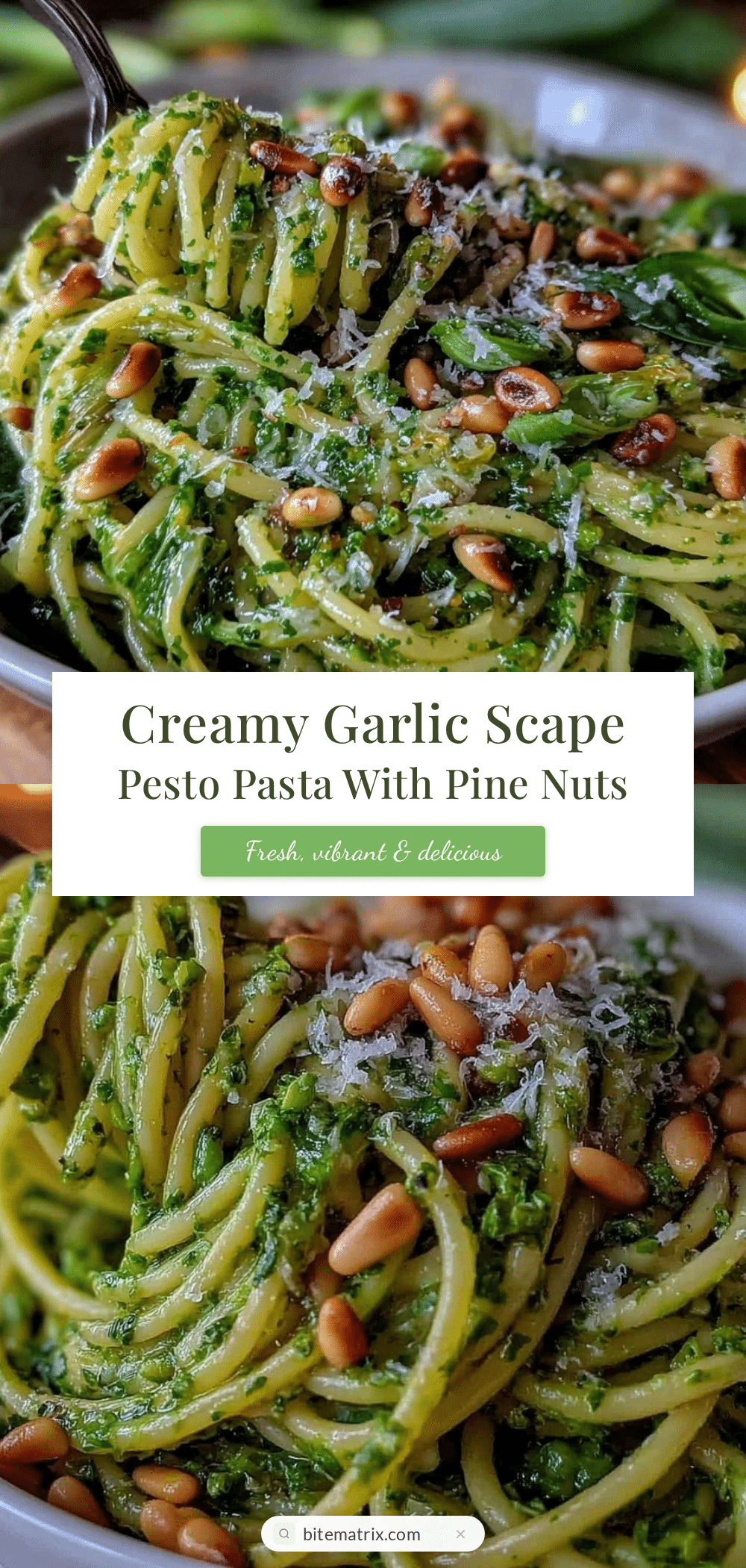 fresh garlic scape pesto pasta recipe