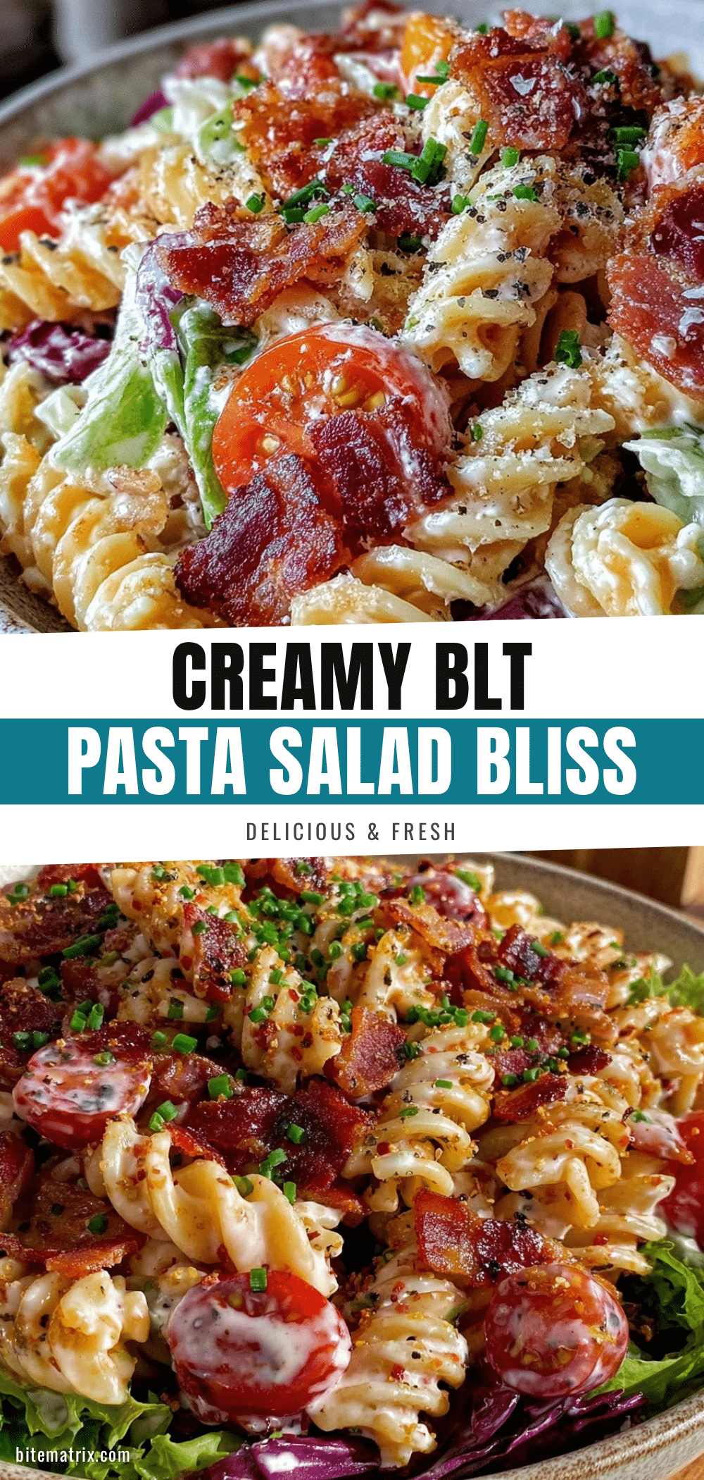 creamy blt pasta salad recipe